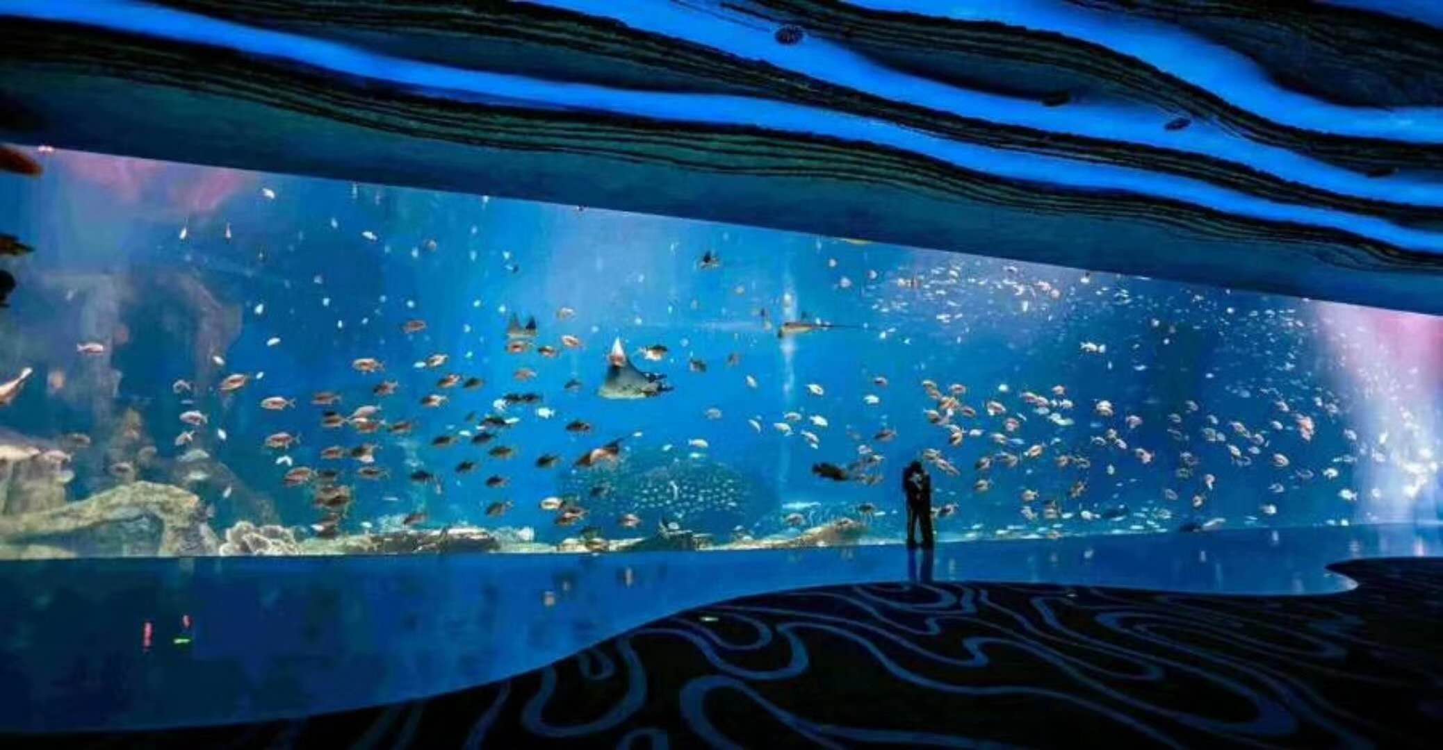 海洋館水族館生物養殖用水臭氧殺菌，滅藻